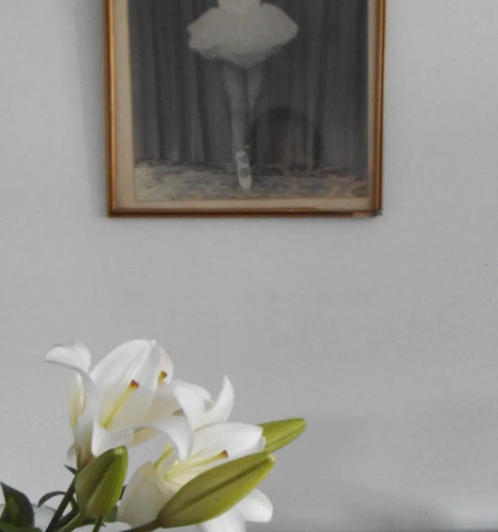 Lisboa Arte Hostel 0*, Лиссабон